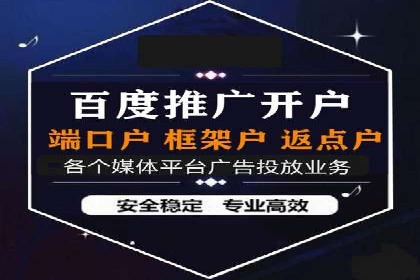 行业领先SEM托管代运营案例